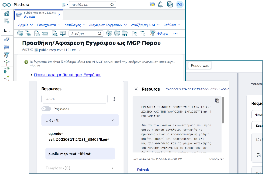 MCP resources